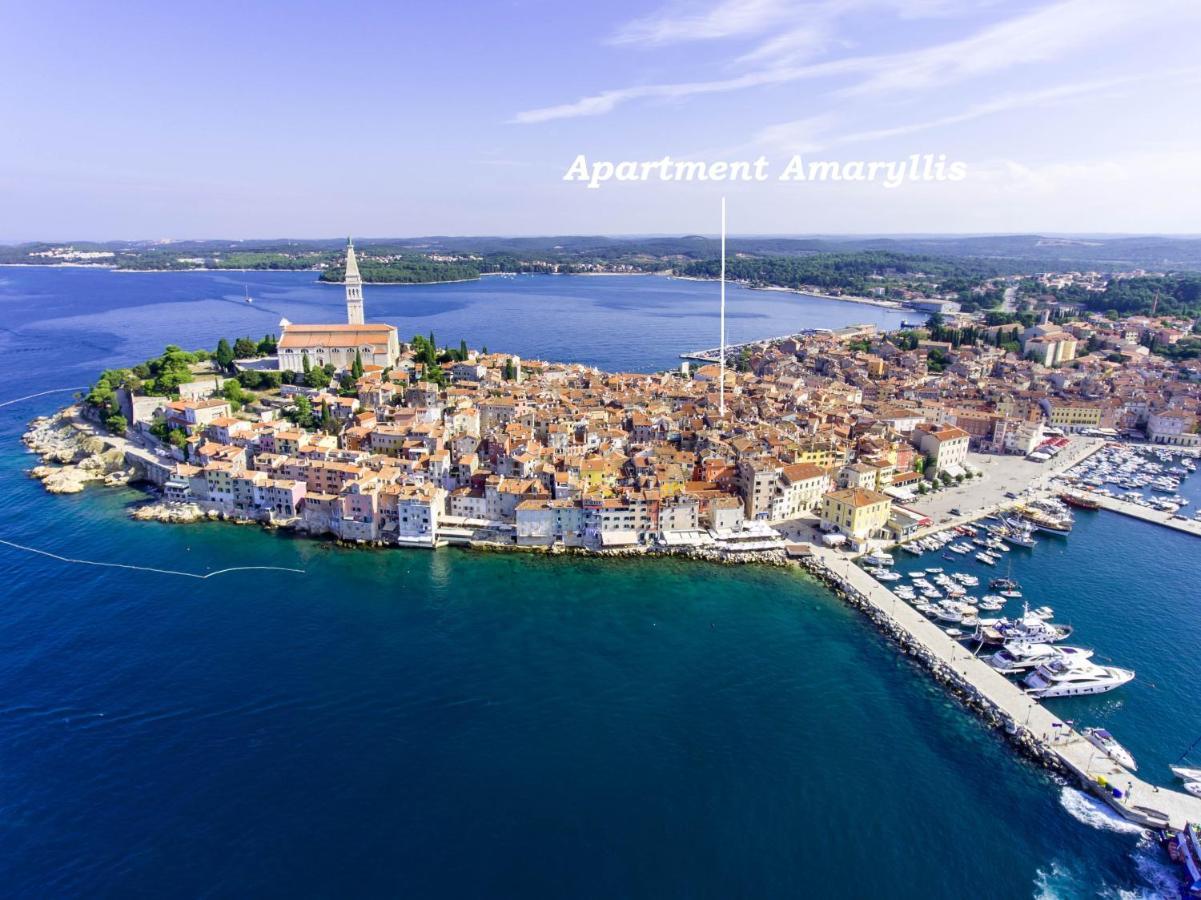 Apartament City Center Amaryllis *